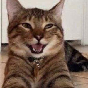 Meet your Posher, Grimaldi